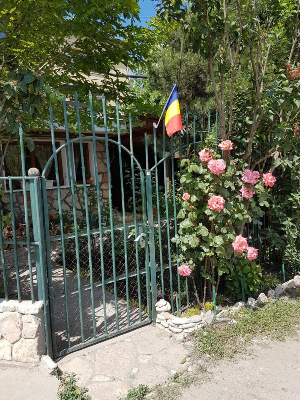 Отель Casa Nikita Вама-Веке Экстерьер фото